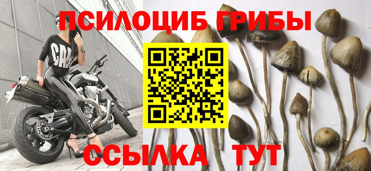 Галлюциногенные грибы мухоморы  Вход с VPN  Псилоцибиновые грибы Cubensis  наркота  Ульяновск 